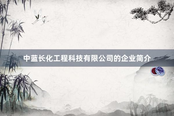 中蓝长化工程科技有限公司的企业简介