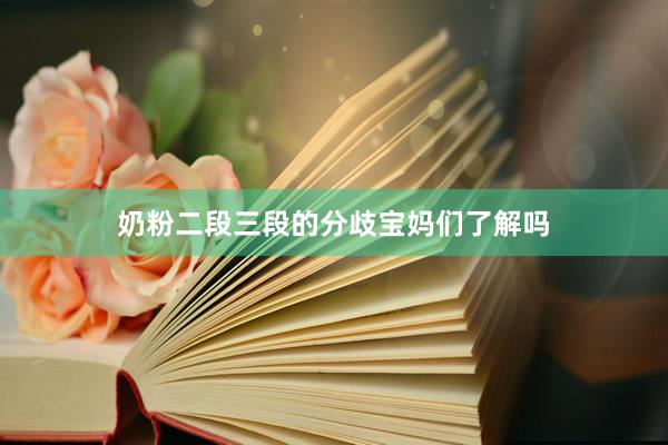 奶粉二段三段的分歧宝妈们了解吗