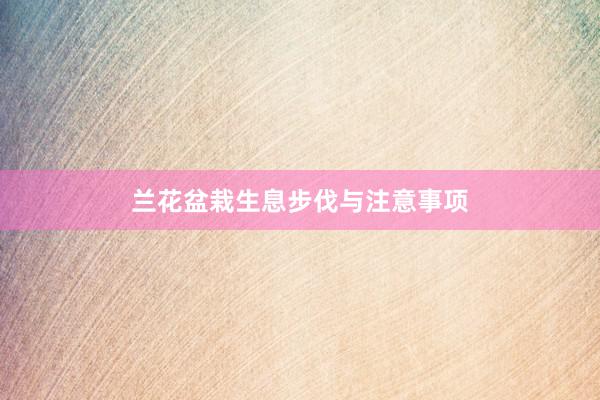 兰花盆栽生息步伐与注意事项